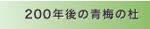 200年後の青梅の杜