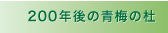 21世紀計画