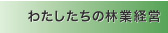 私たちの林業計画