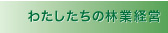 私たちの林業計画