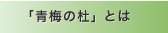 「青梅の杜」とは